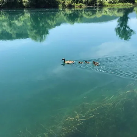 Navis Villa Bihac